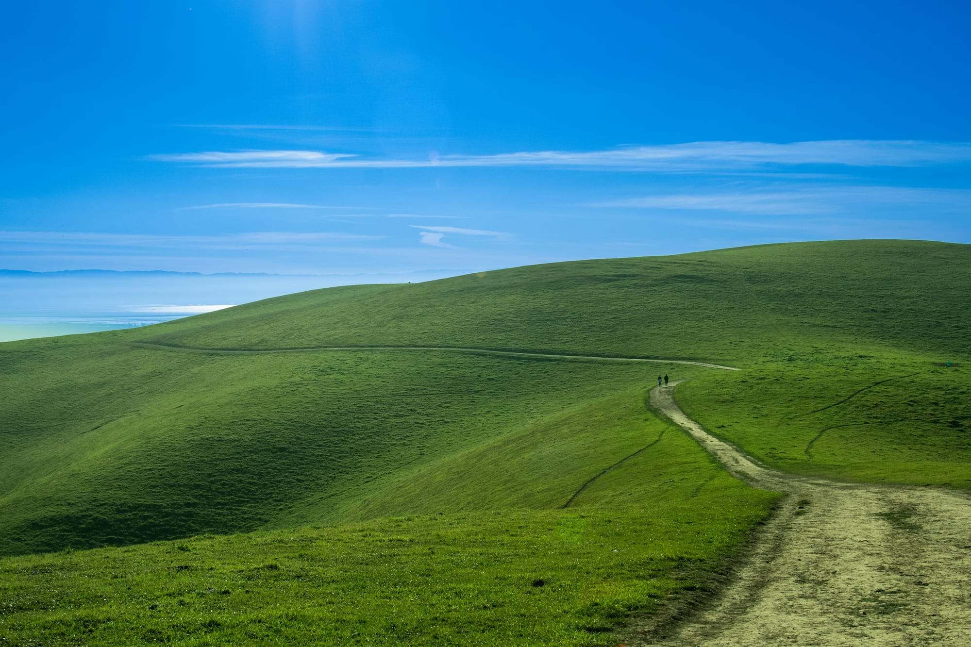 Path winding over green hills